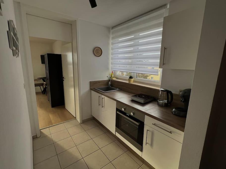 Penthouse Apartment In Kehl エクステリア 写真
